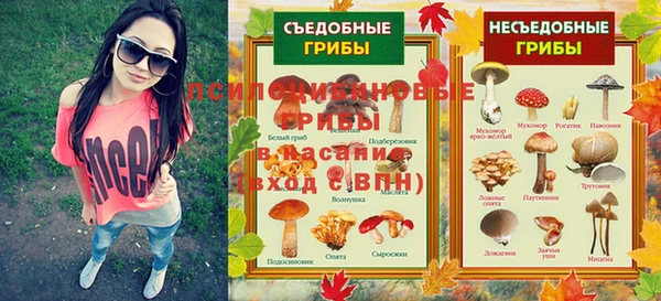 сатива Медногорск