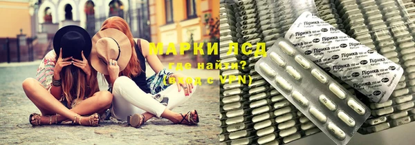 крисы Магас